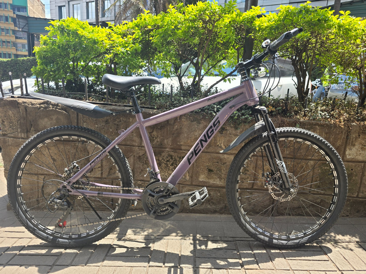 PENGS Multi-Speed Mountain Bike Size 24