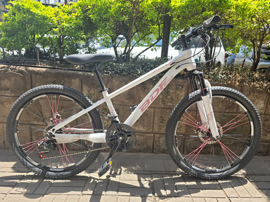 BDF Multi-Speed Mountain Bike Size 24