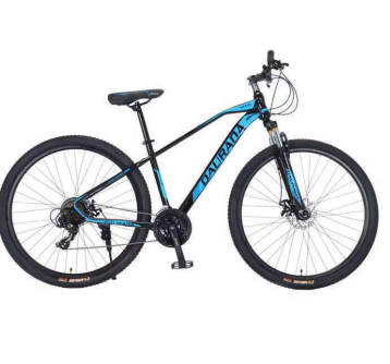 29” Mountain Bike STEEL FRAME