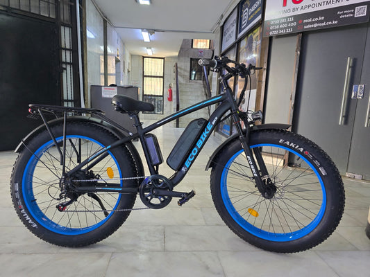 ECO BIKE Fat Tire Electric Bike