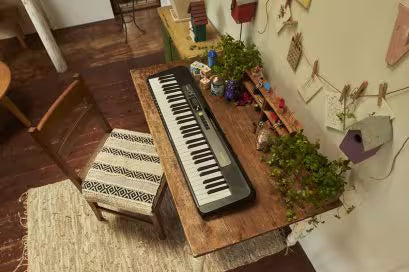 Casio LK-S250 61-Key Portable Keyboard, Lighted Keys