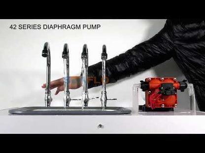 SeaFlo 12V Water Pump with Automatic Pressure Switch