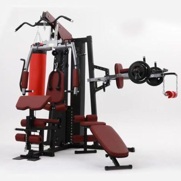 Integrated Multi Gym Machine With Boxing Punching Bag